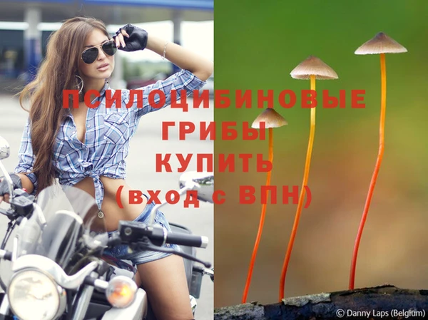 ешки Богородицк