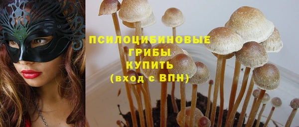ешки Богородицк